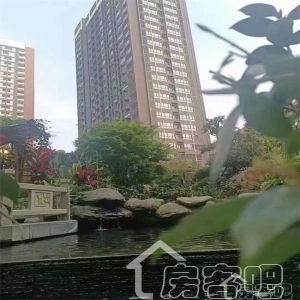 深圳大红本房建议买吗？孩子上学能解决学区吗？