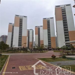 深圳小产权房价格高吗？