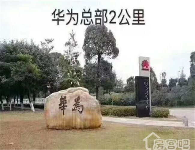 大岭山【城市家园】(图5)