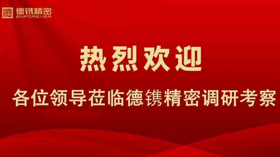 山西省永濟市市委書記何偉率隊到德鐫調研考察