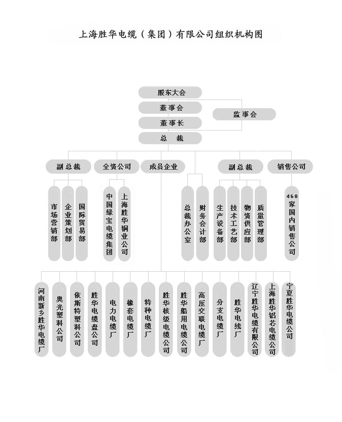 尊龙凯时组织机构