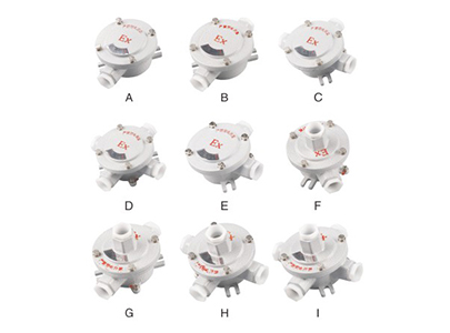 AH-防爆接線(xiàn)盒(IIB、IIC)