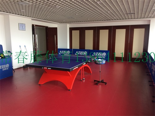 農業銀行山東省某分行乒乓球室實景