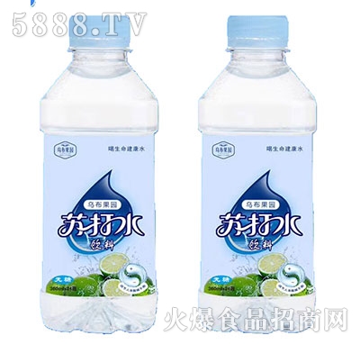 ڲ԰մˮ360ml