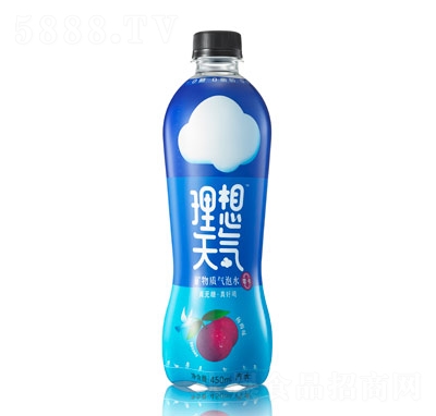 ˮ÷ζ450ml