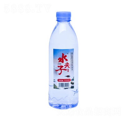 ˮƫȻɽȪˮƿװˮ530ml