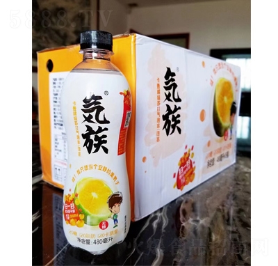 忨ζմˮˮ480ml