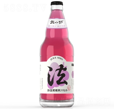 СҰѹ֭ˮ520ml