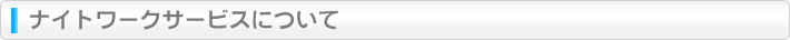 ナイトワークサービスについて