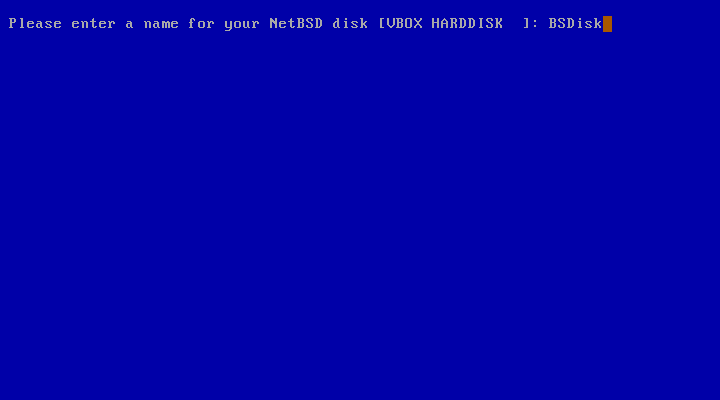 Naming the NetBSD disk