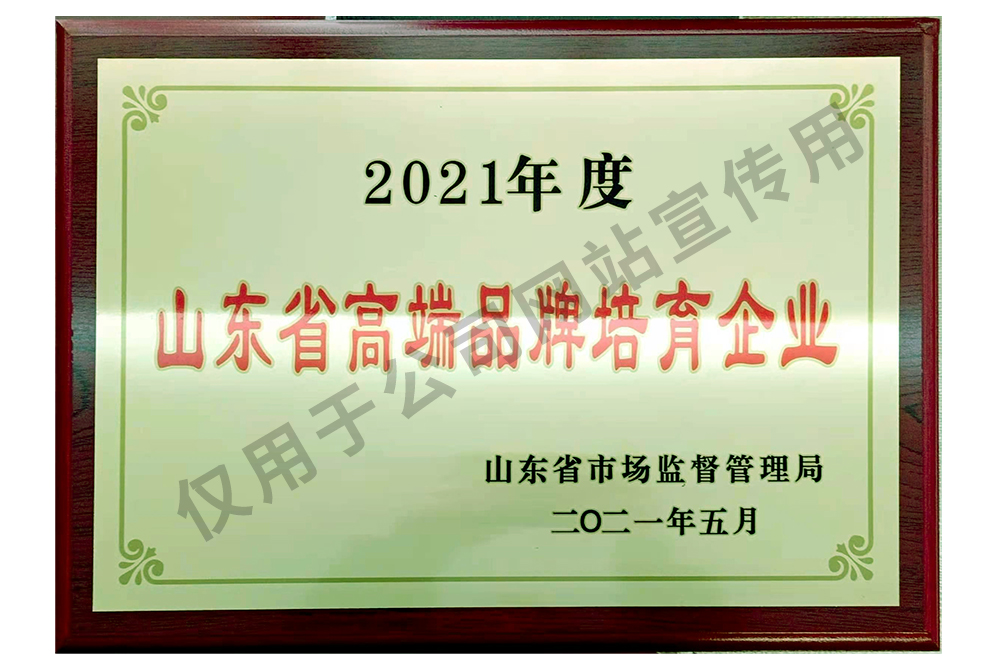 2021-年度山東省-高端品牌培育企業