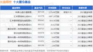 长盈精密股票(1月17日长盈精密跌509%，中庚小盘价值股票基金重仓该股)