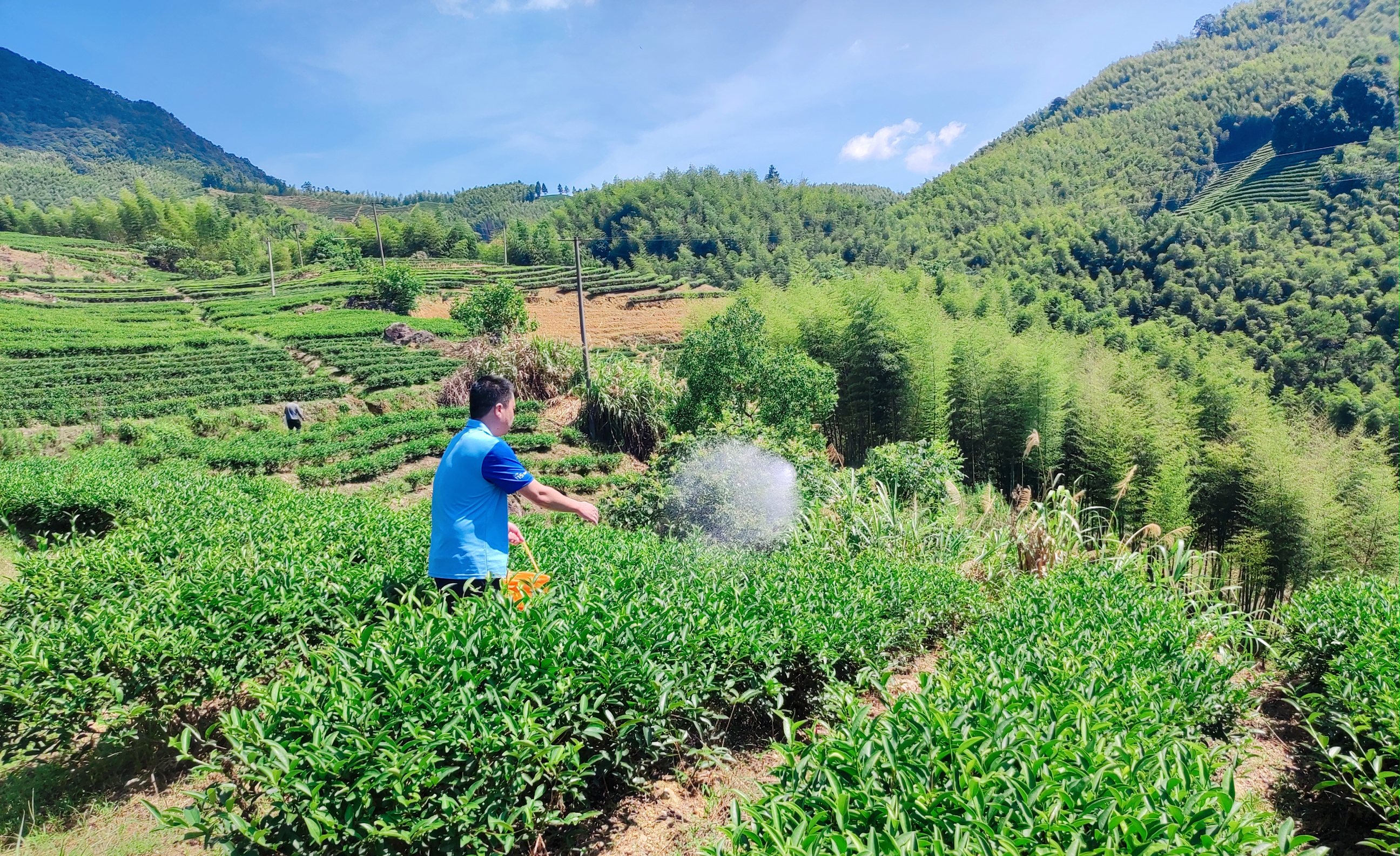 完美世界官网-中国首次实现重度盐碱地种植蕨麻