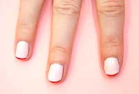 Francesinha El�stica