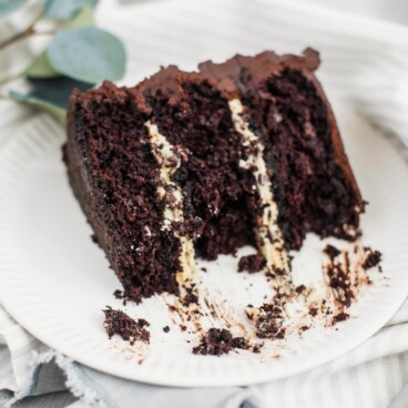 Chocolate cake slice on plate with a few bites eaten.