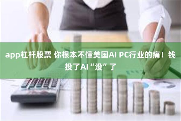 app杠杆股票 你根本不懂美国AI PC行业的痛！钱投了AI“没”了