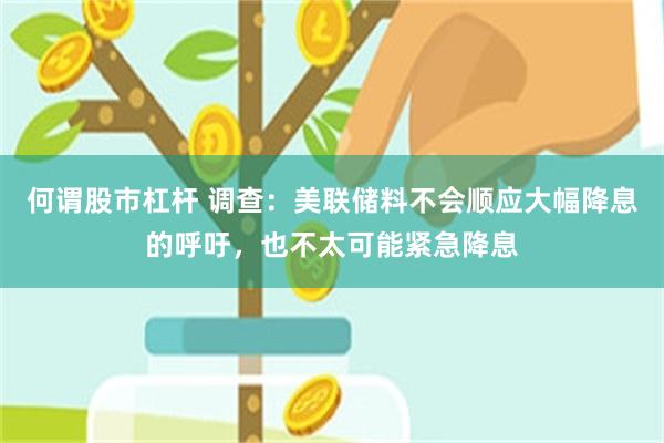 何谓股市杠杆 调查：美联储料不会顺应大幅降息的呼吁，也不太可能紧急降息