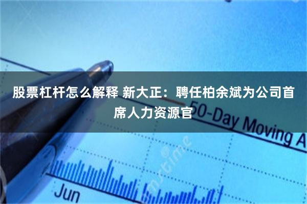 股票杠杆怎么解释 新大正：聘任柏余斌为公司首席人力资源官