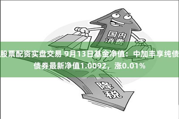 股票配资实盘交易 9月13日基金净值：中加丰享纯债债券最新净值1.0092，涨0.01%