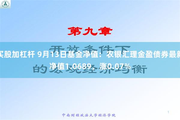 买股加杠杆 9月13日基金净值：农银汇理金盈债券最新净值1.0689，涨0.07%