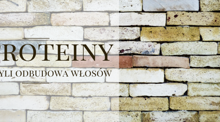 Proteiny czyli budowa i odbudowa włosów