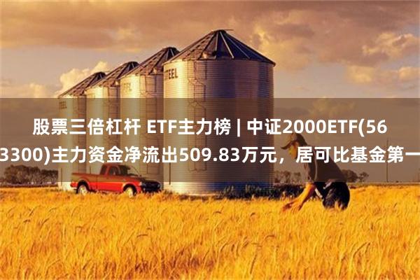 股票三倍杠杆 ETF主力榜 | 中证2000ETF(563300)主力资金净流出509.83万元，居可比基金第一