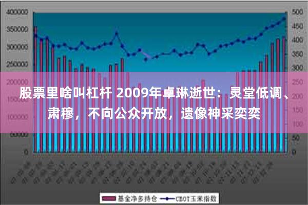 股票里啥叫杠杆 2009年卓琳逝世：灵堂低调、肃穆，不向公众开放，遗像神采奕奕