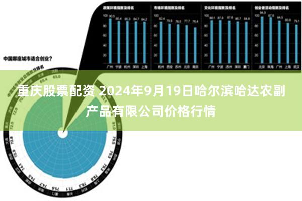 重庆股票配资 2024年9月19日哈尔滨哈达农副产品有限公司价格行情