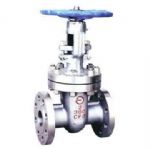 Cast Steel Gate Valve