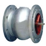 Flanged   Check Valve