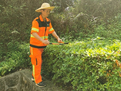 龙华区樟坑径城市公园管养项目