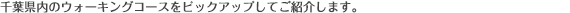 千葉県内のウォーキングコースをピックアップしてご紹介します。