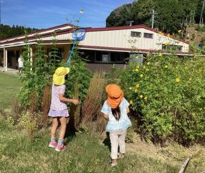 かずさあけぼの保育園　虫取り