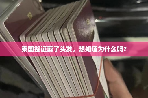 泰国签证剪了头发，想知道为什么吗？