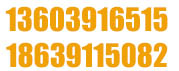 0391-5901390 15538958131