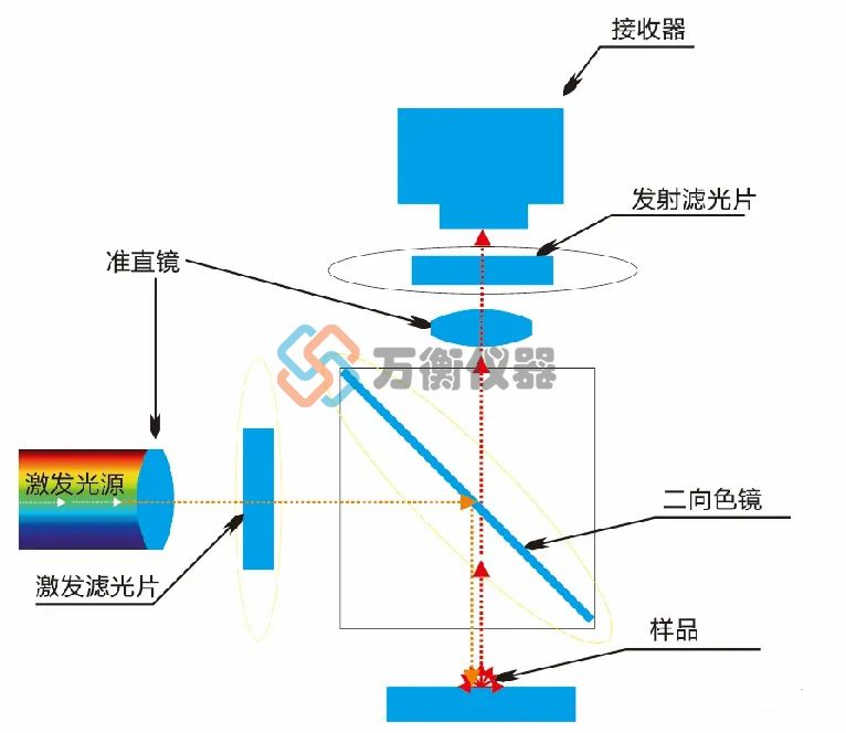 熒光激發(fā)2.jpg