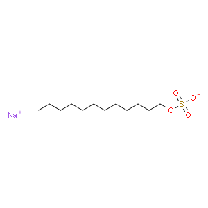 十二烷基硫酸鈉(SDS)