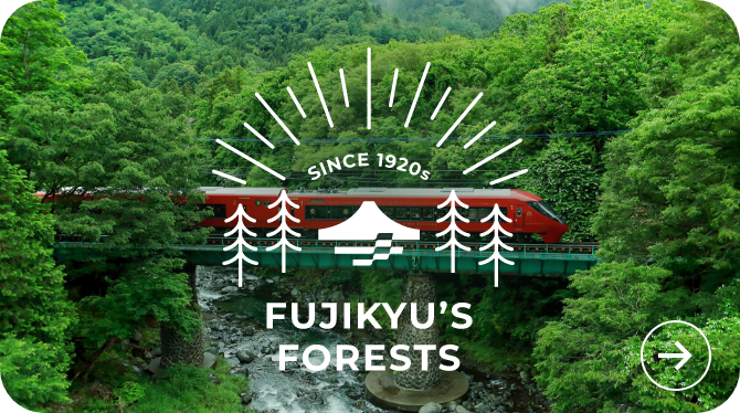 Fujikyu’s Forests