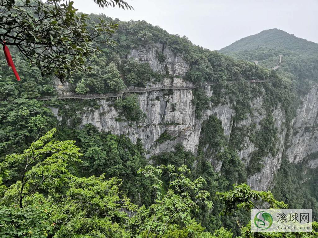 张家界旅游攻略 (张家界旅游攻略三日游自由行)