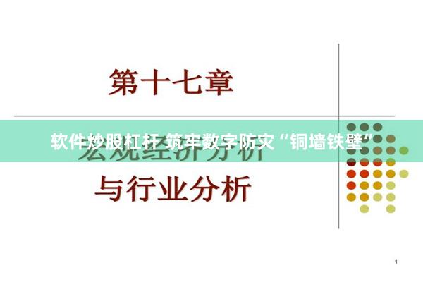 软件炒股杠杆 筑牢数字防灾“铜墙铁壁”