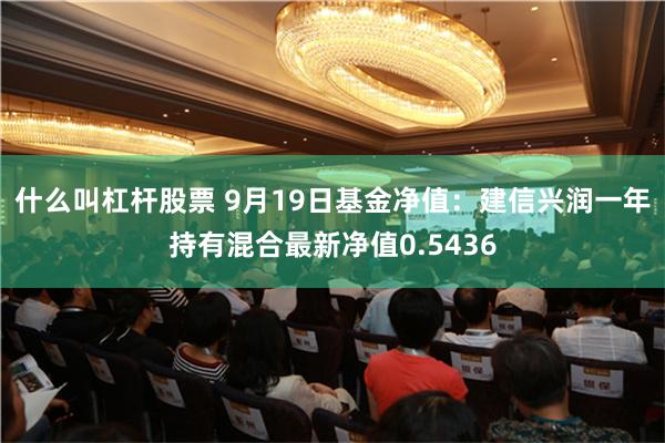 什么叫杠杆股票 9月19日基金净值：建信兴润一年持有混合最新净值0.5436