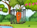 Epic Carrot Escape