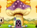 Boy Escape From Mushroom House