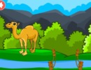 脱出ゲーム Rescue The Hungry Camel