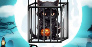 Halloween Cat Haunt