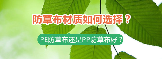 防草布材質(zhì)如何選擇？PE防草布與PP防草布的區(qū)別