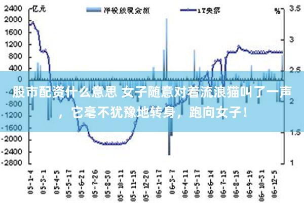 股市配资什么意思 女子随意对着流浪猫叫了一声，它毫不犹豫地转身，跑向女子！