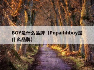 BOY是什么品牌（Pnpaihhboy是什么品牌）