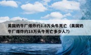 美国奶牛厂爆炸约1.8万头牛死亡（美国奶牛厂爆炸约18万头牛死亡多少人?）