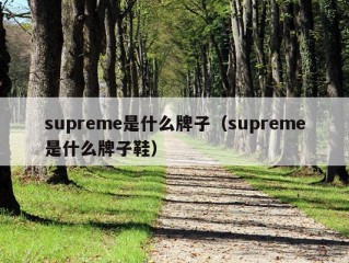 supreme是什么牌子（supreme是什么牌子鞋）